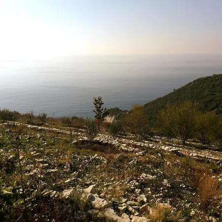 Iris * Himare